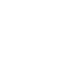 Life Icon